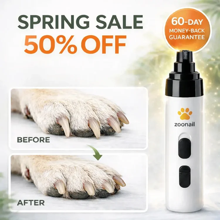 Stress-Free Paws, Happy Dogs